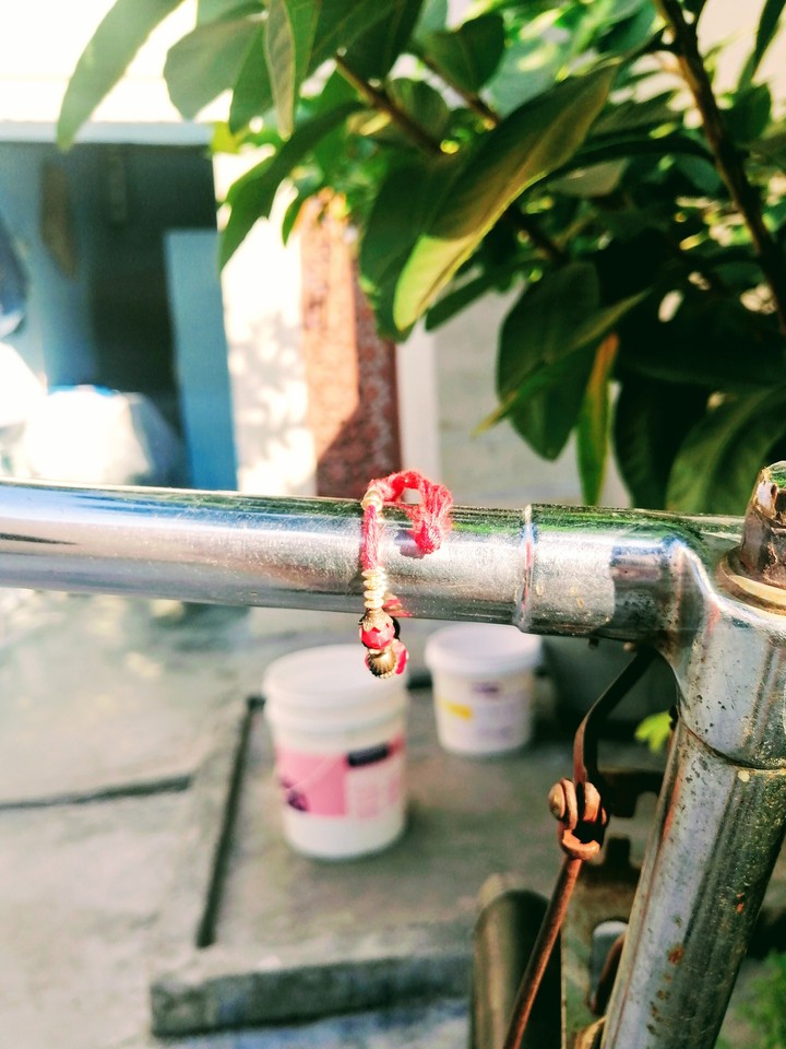 rakhi