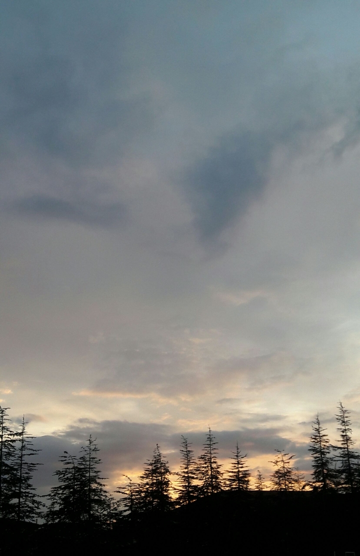 natural view