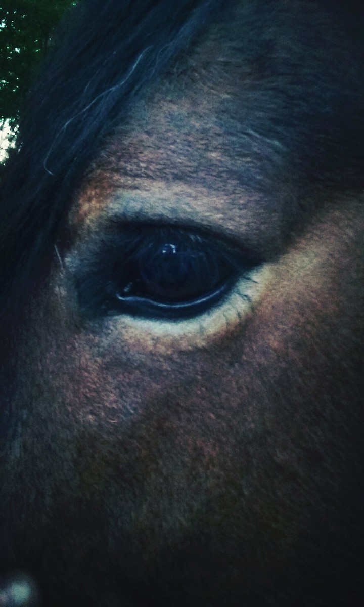 Black Eye