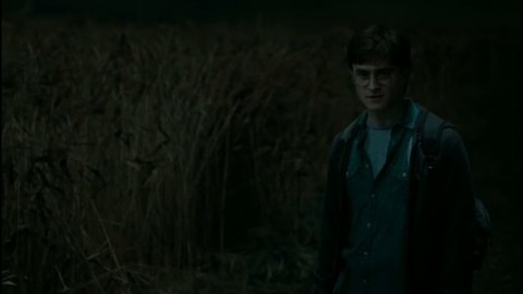 harrypotter
