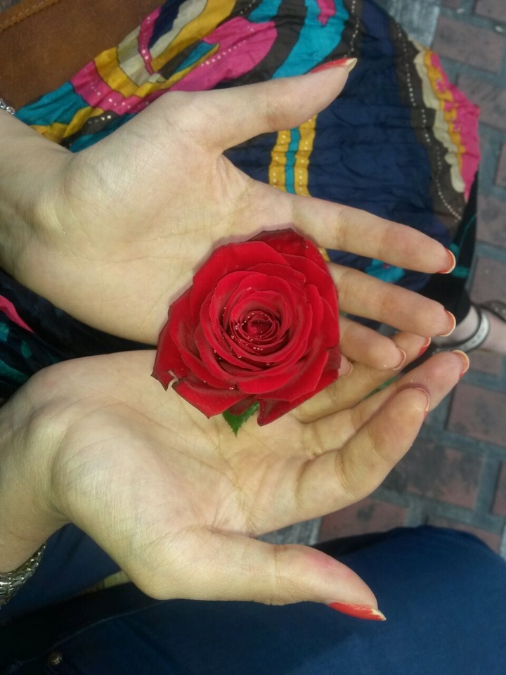 rose