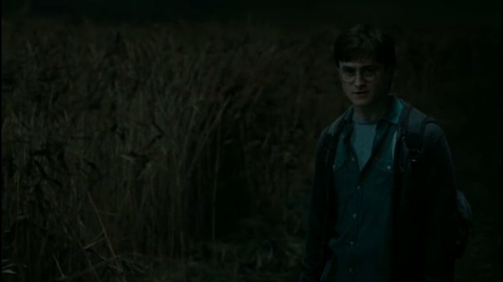 harrypotter