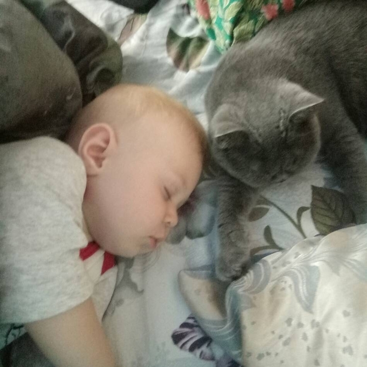 сонное царство 