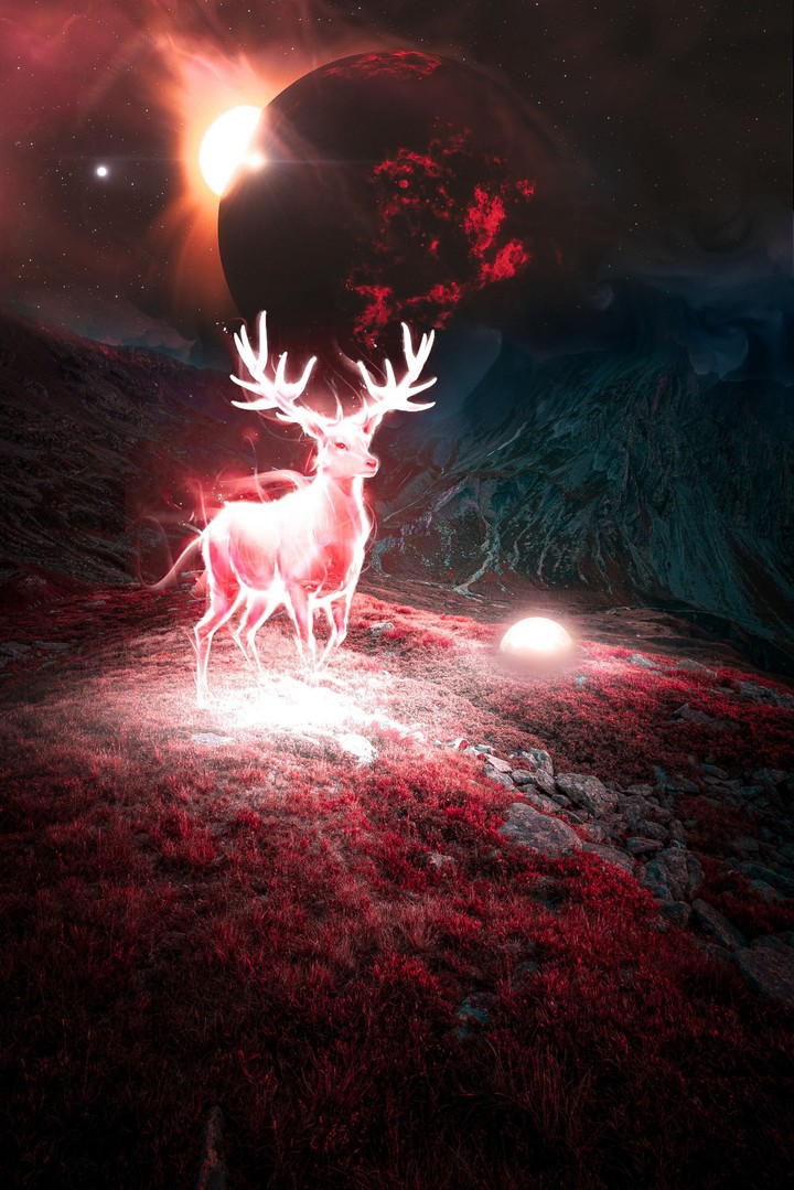 deer