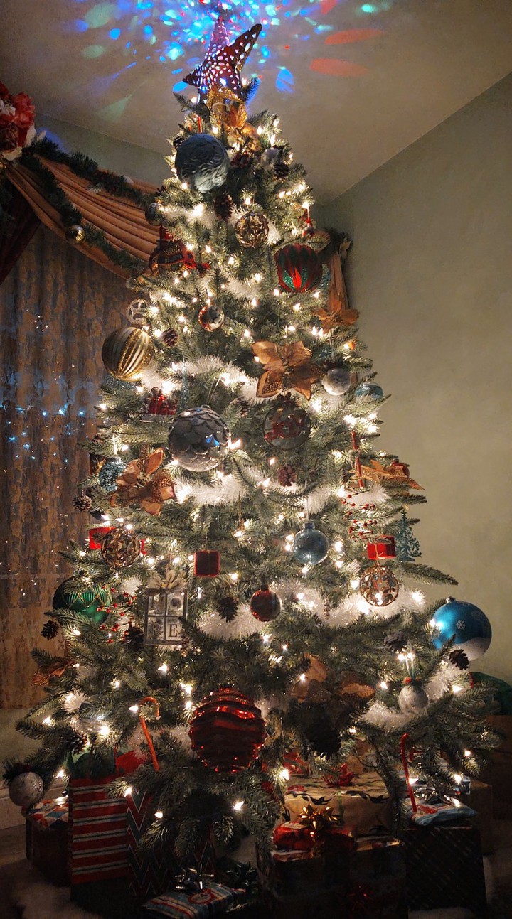 My favorite Tree