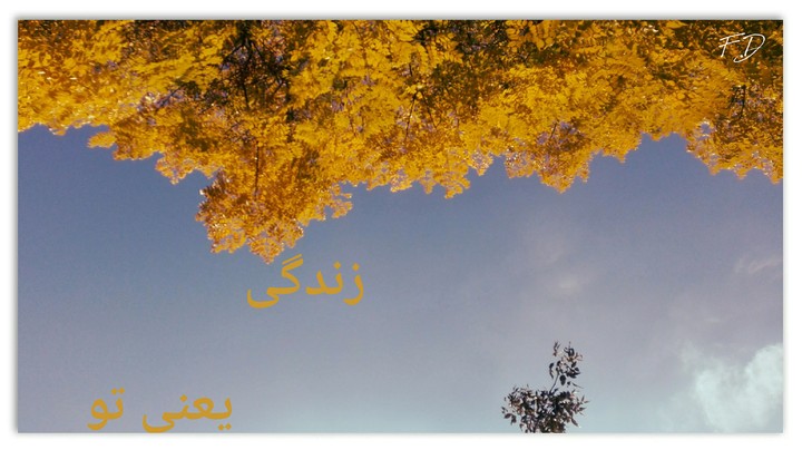sky iran