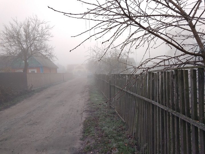 Foggy