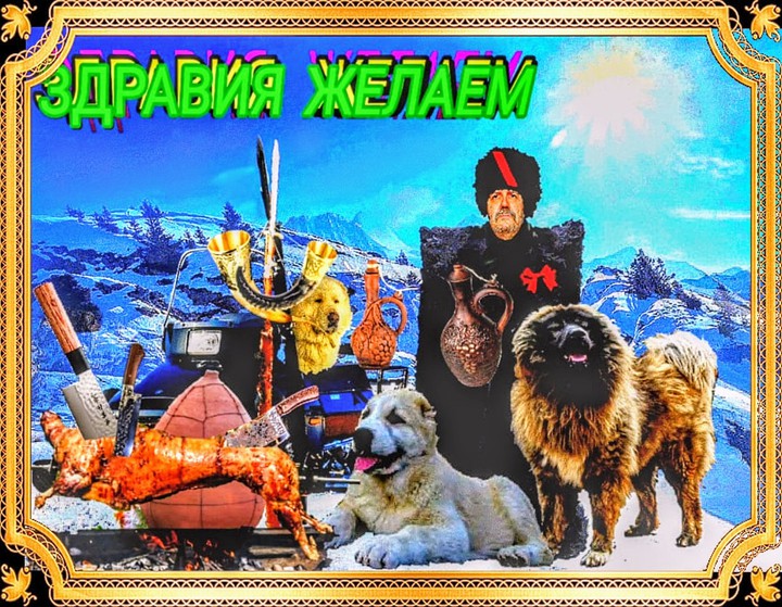 Zdravia Zelaem