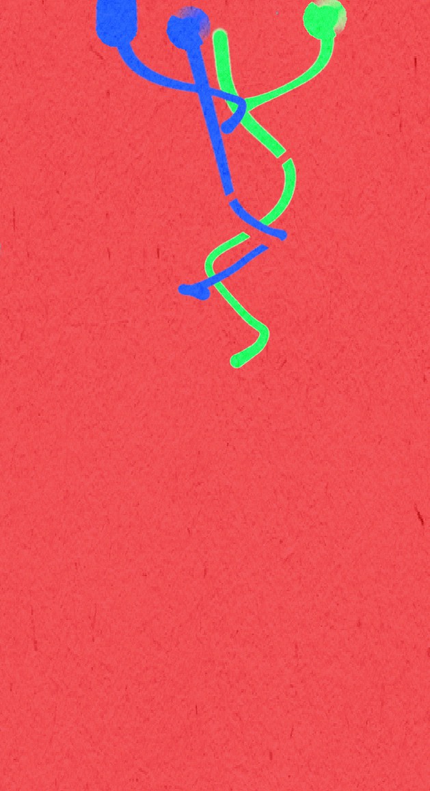 Wallpaper for you ❤️