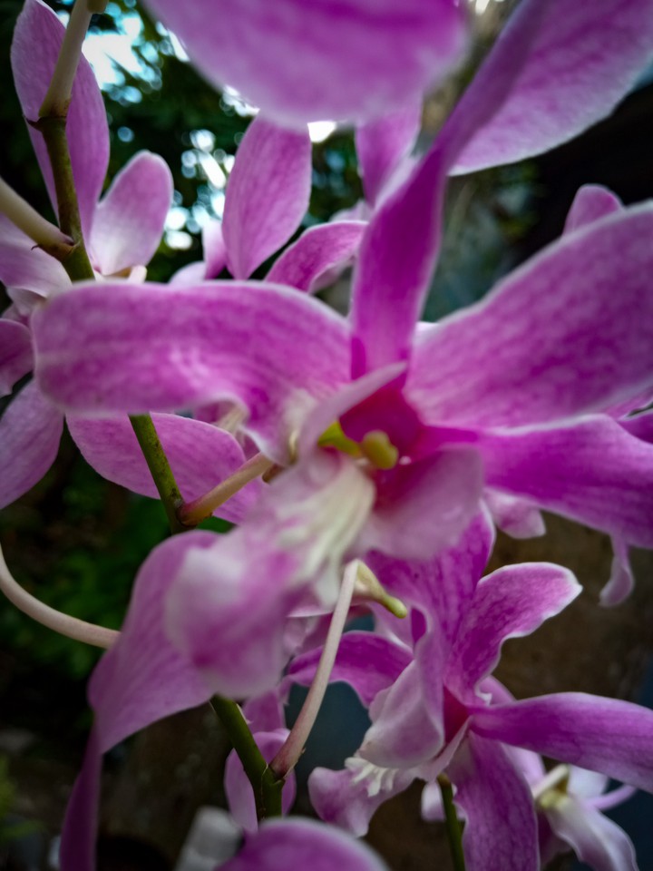 every flower is beauty, so are you.