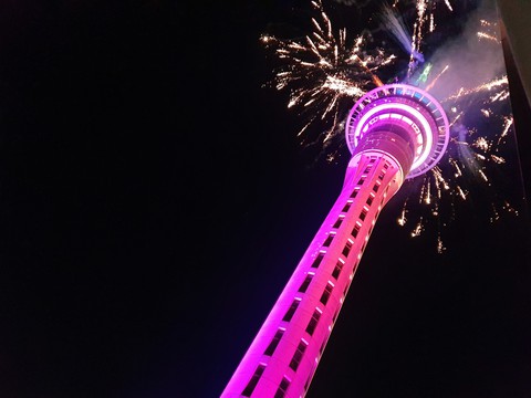 Skytower 2020 New Year