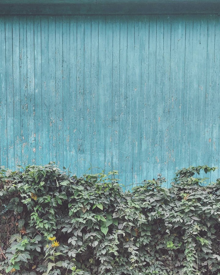 wood