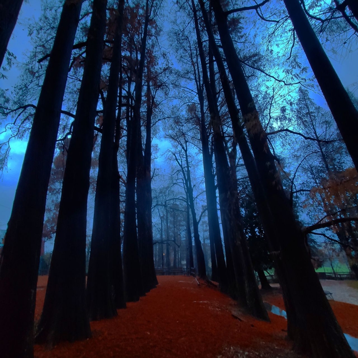 Nature