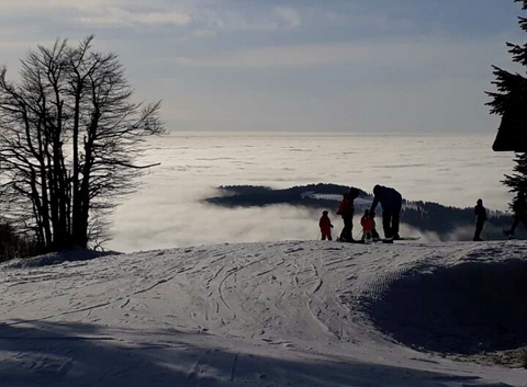 ski