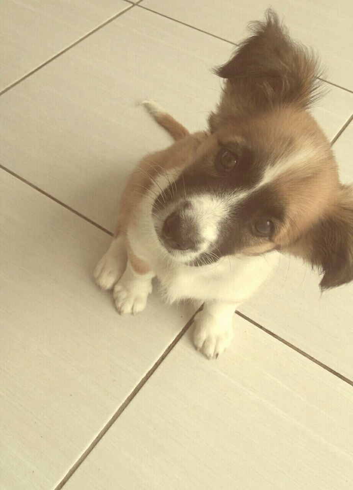 Princess Nina