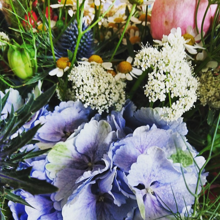 flowers