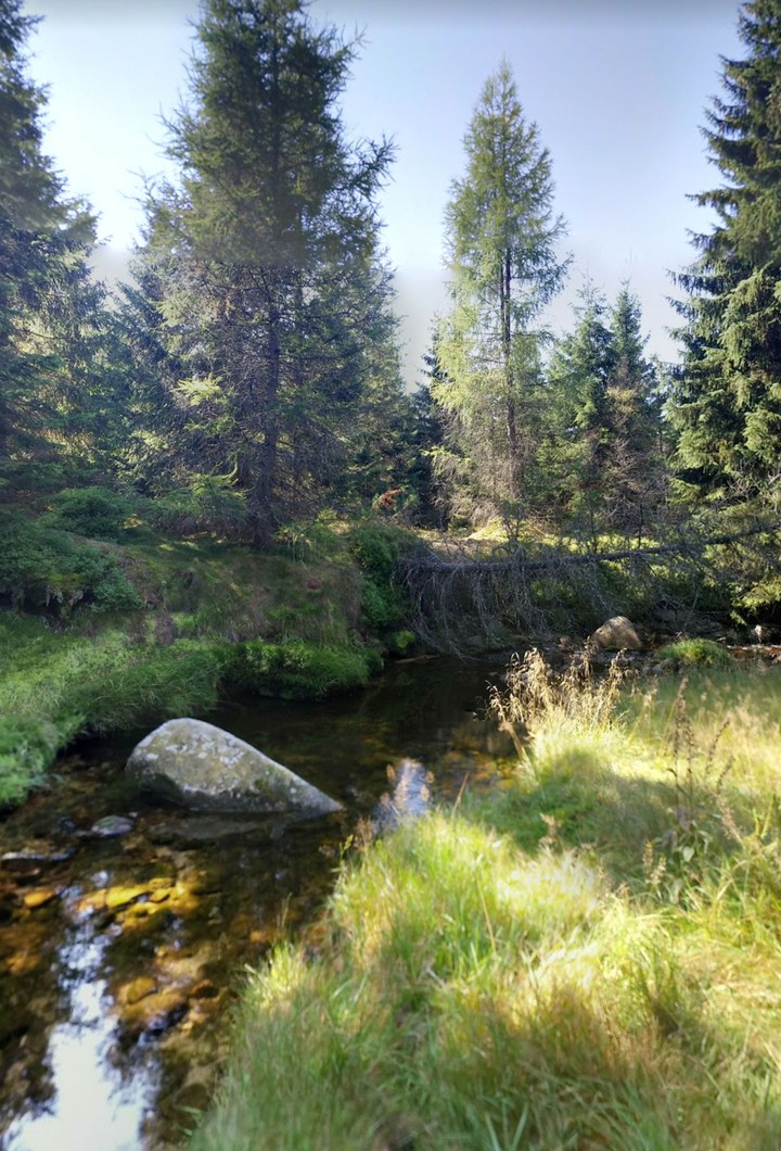 Nature