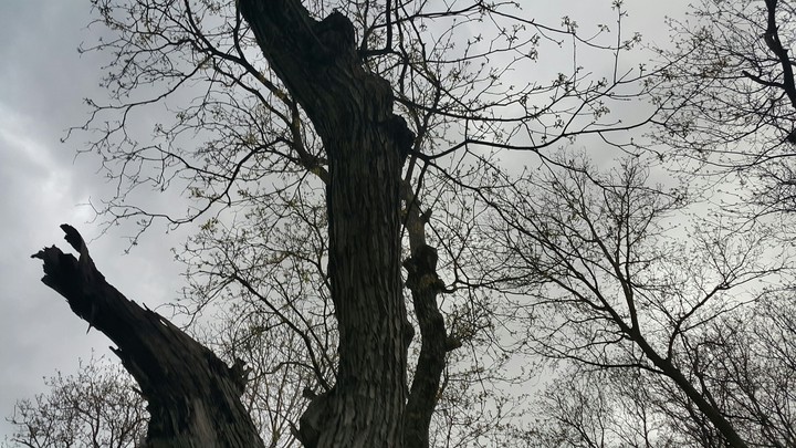 the early part of spring
