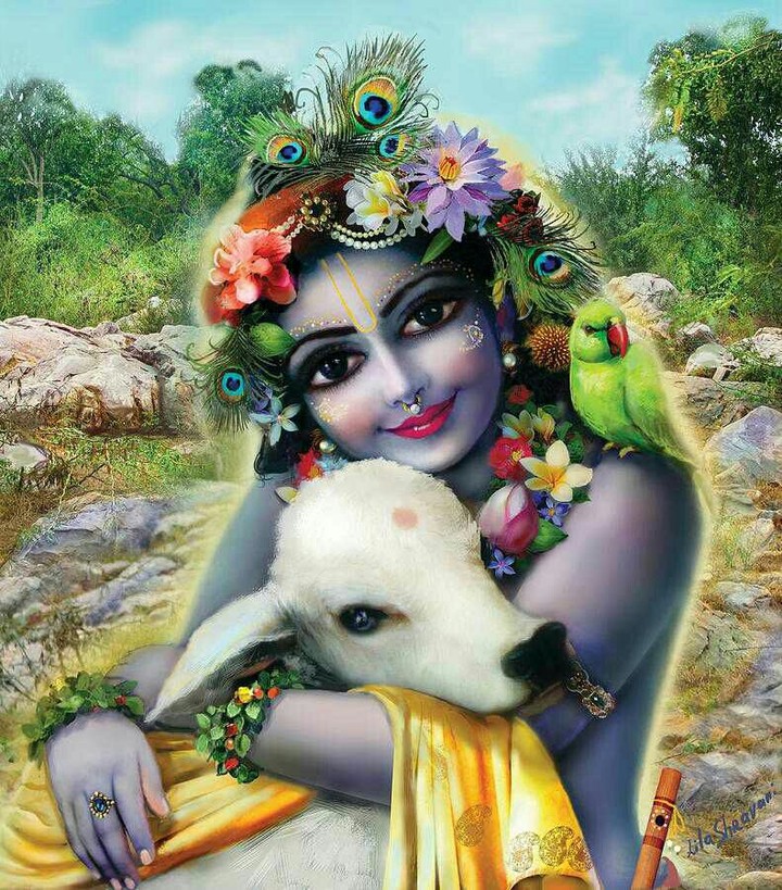 lord krishna