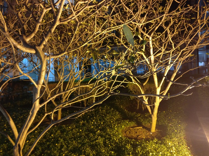 winter