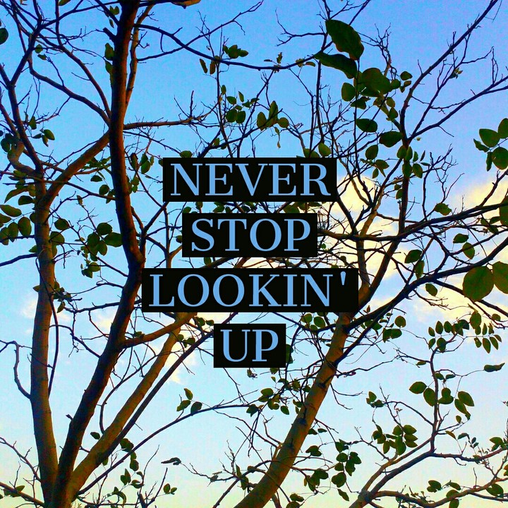 quote