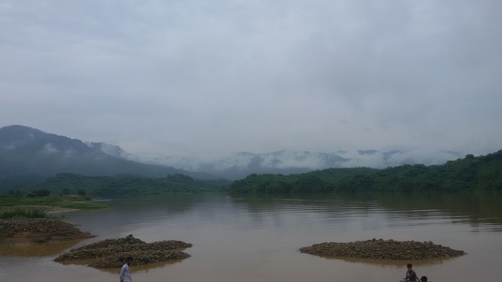 nature