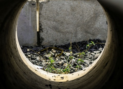 hope in hole