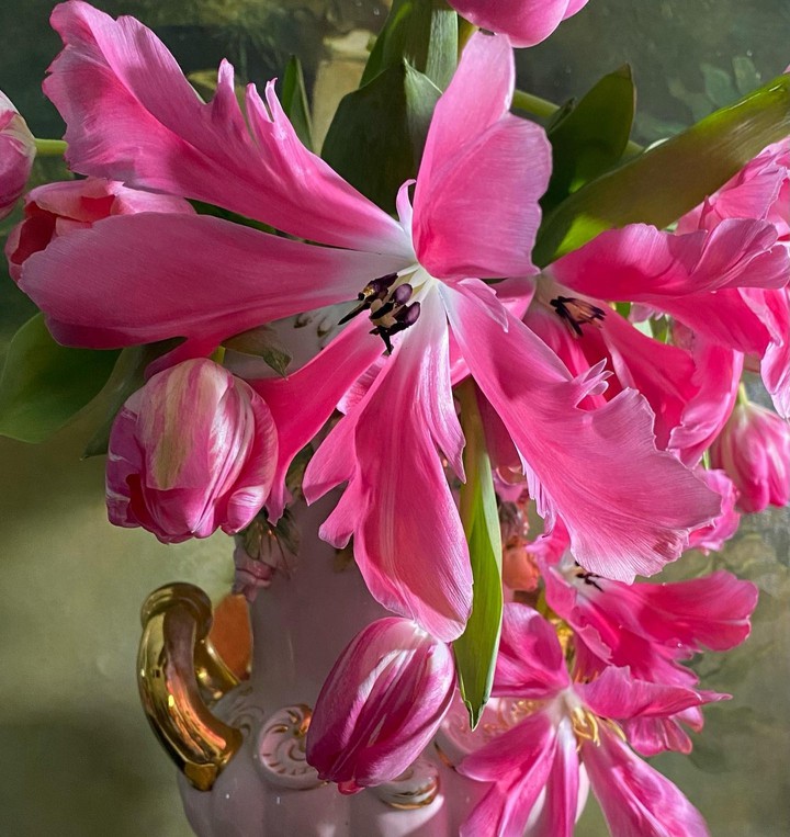 ~♧•°❁~♧•°❁~♧•°❁~♧•°