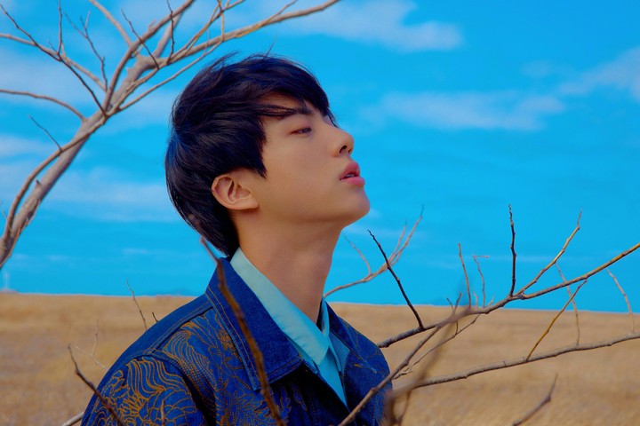 BTS JIN