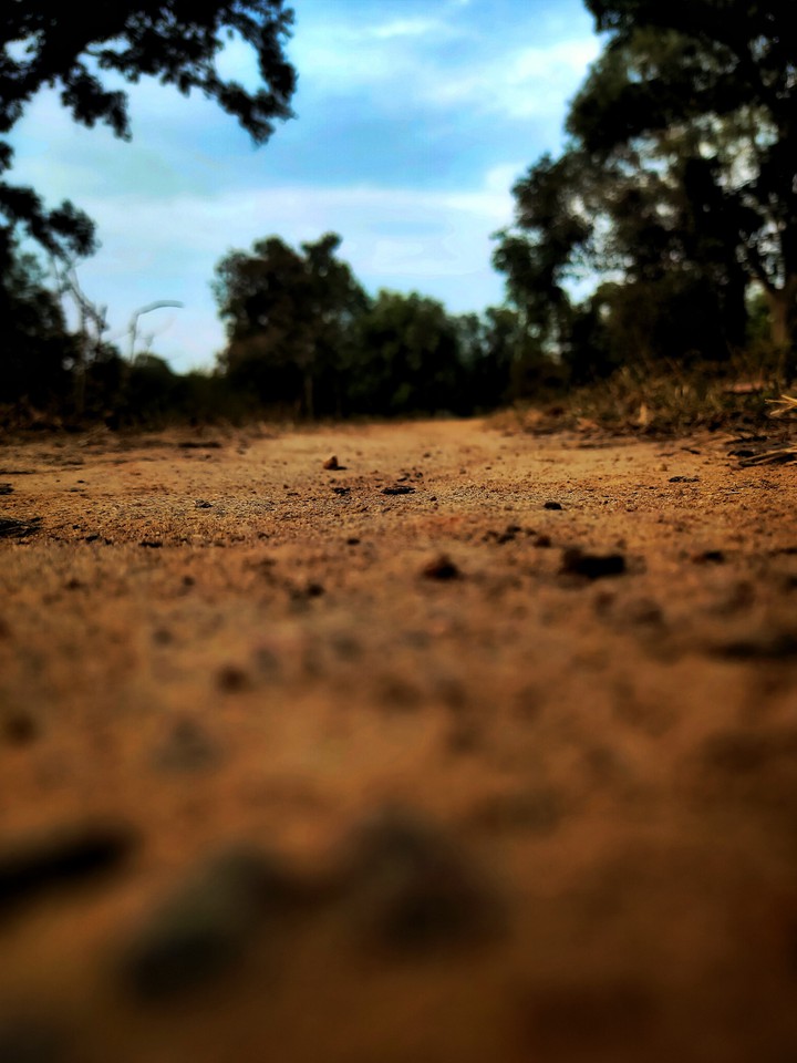 soil
