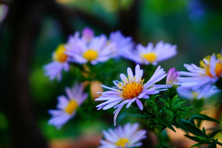 Beauty...