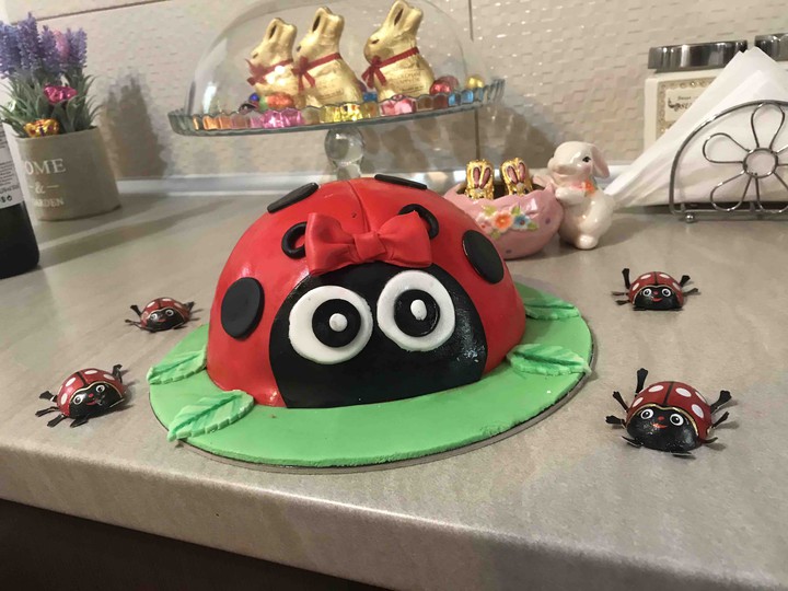 Ladybug cake