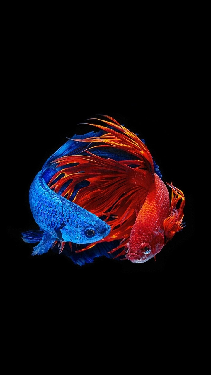 MIne