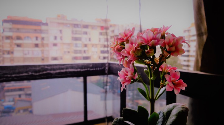 lovely view