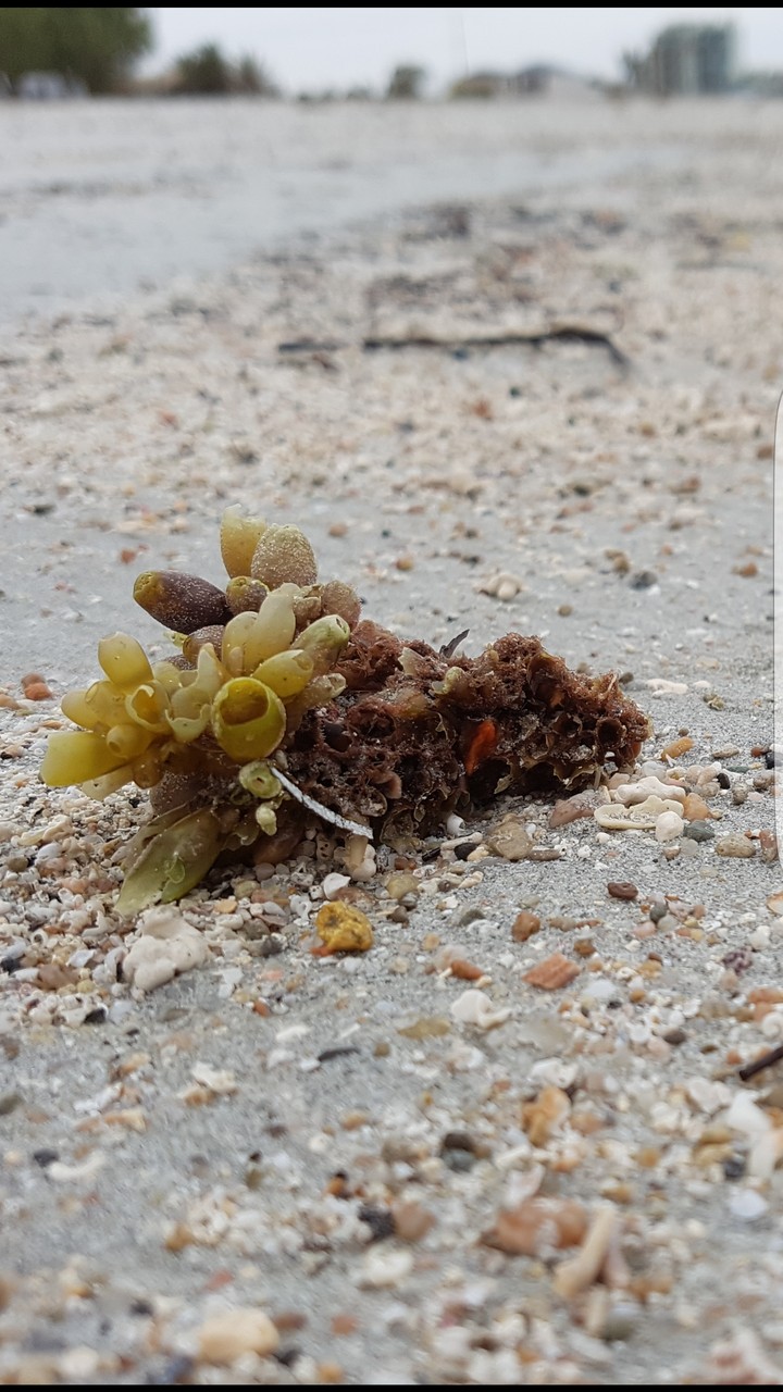 Week at the beach