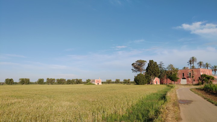 Country in my city