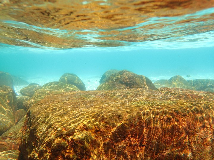 in the sea