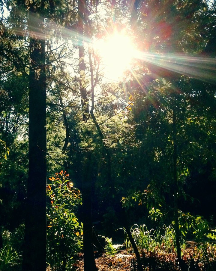 sunshine