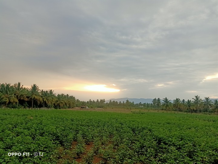 The Beauty of the Nature