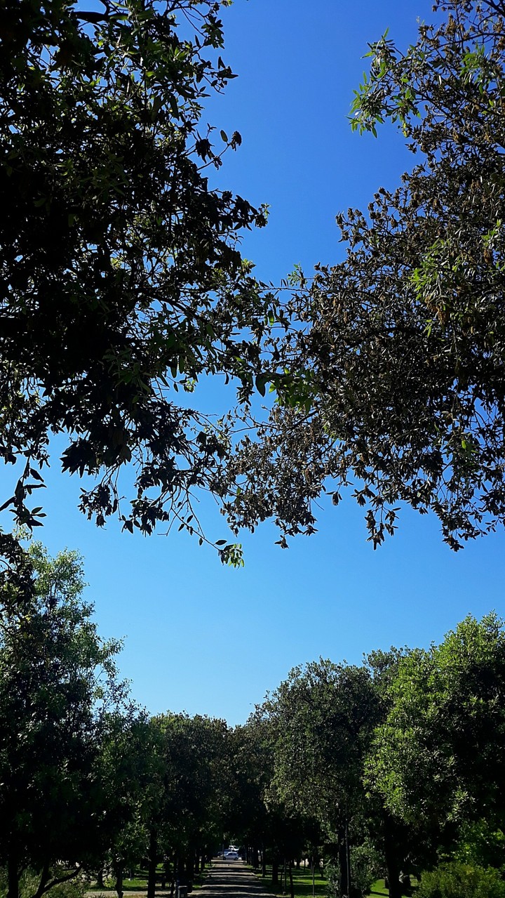 sky