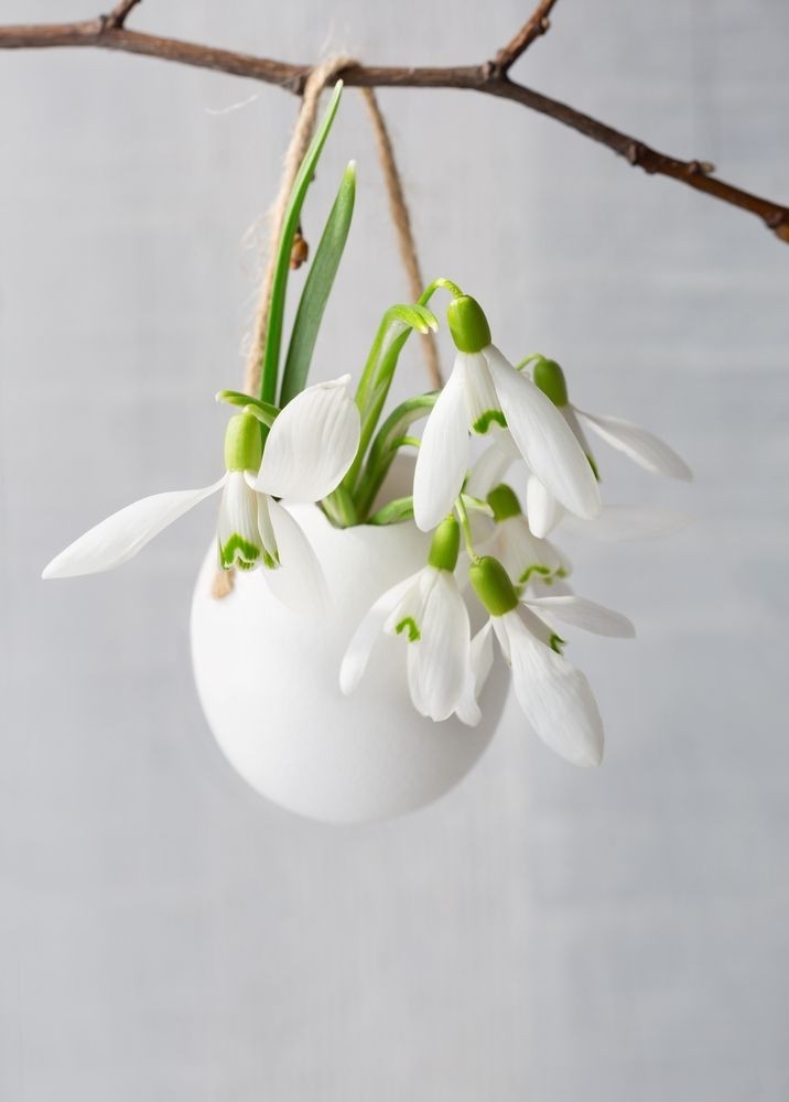 The spring has finally hatched :)