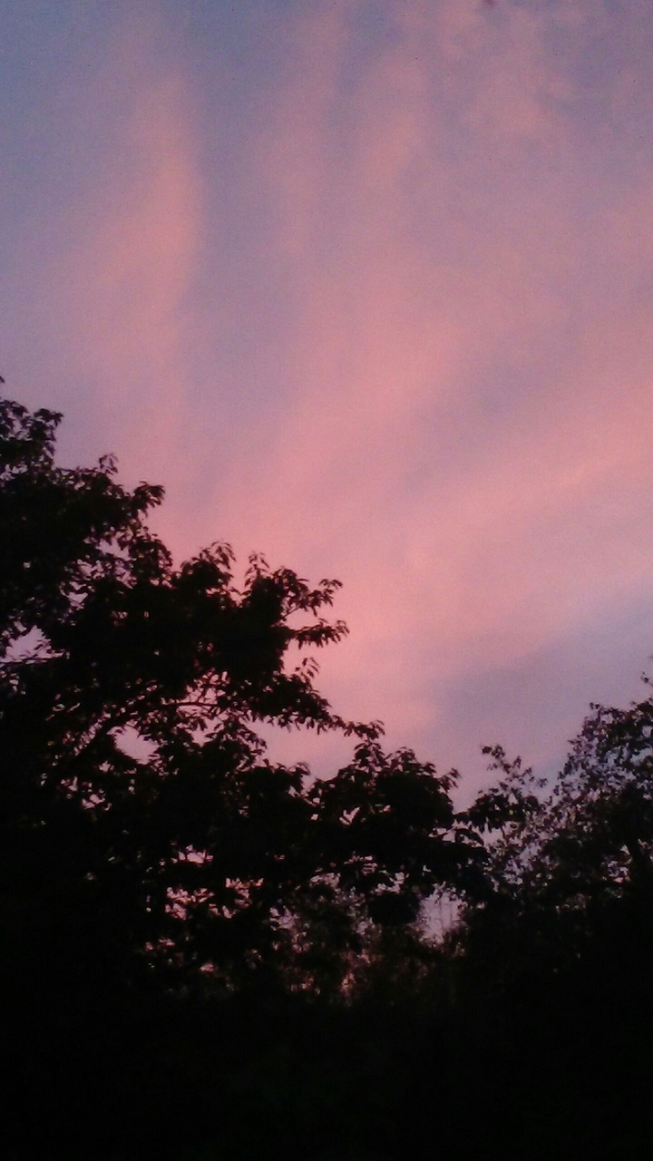 Purple Night