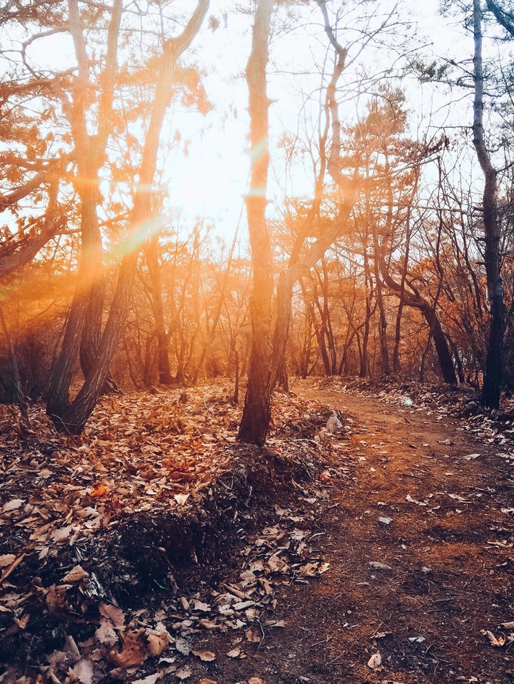 Autumn