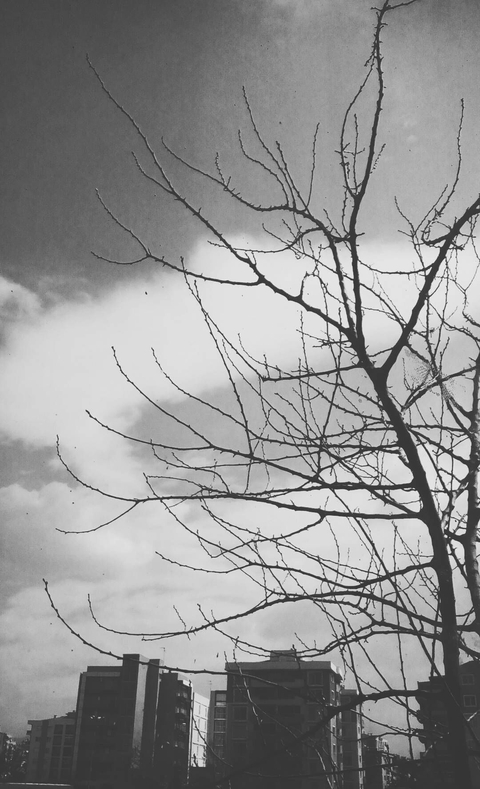 doğa, sketch Hintergrundbilder