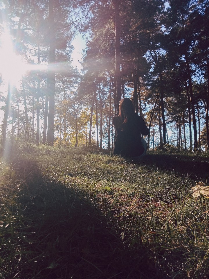 Sunlight ○