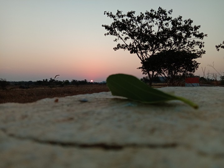 sunrise