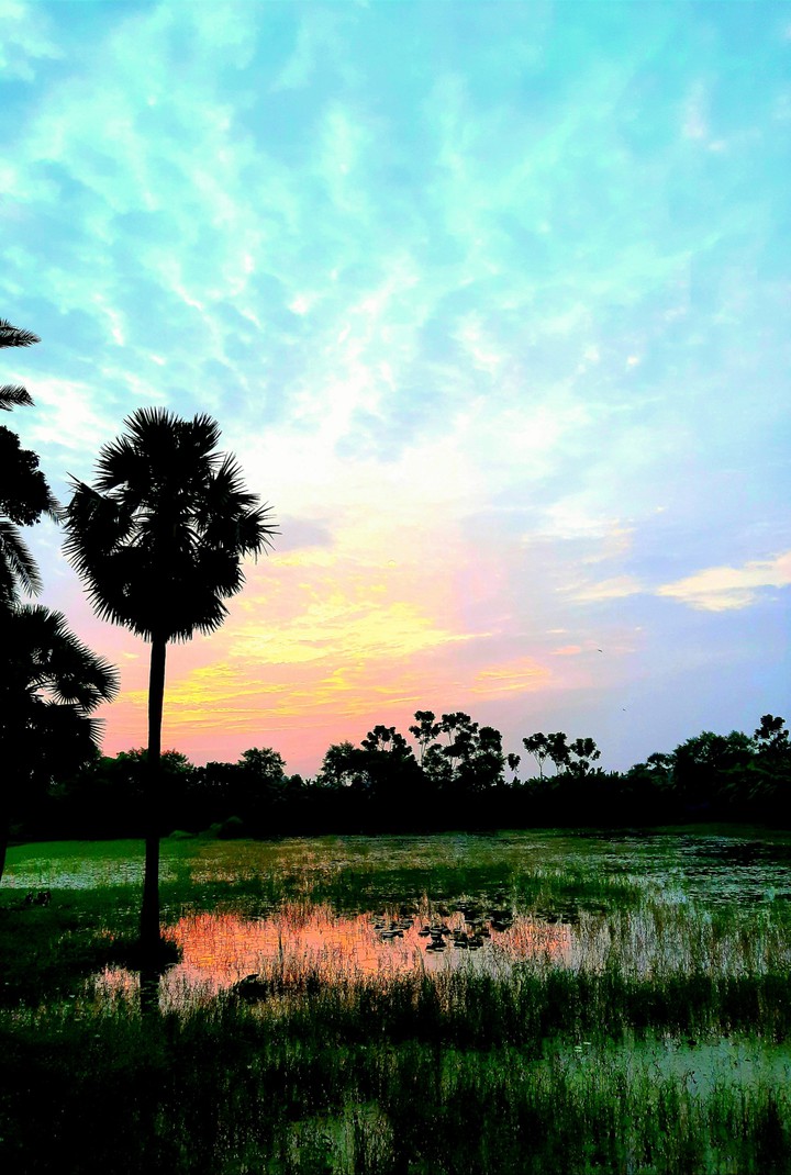 Early Morning