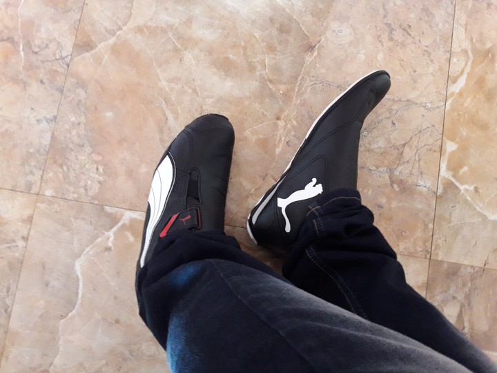 puma