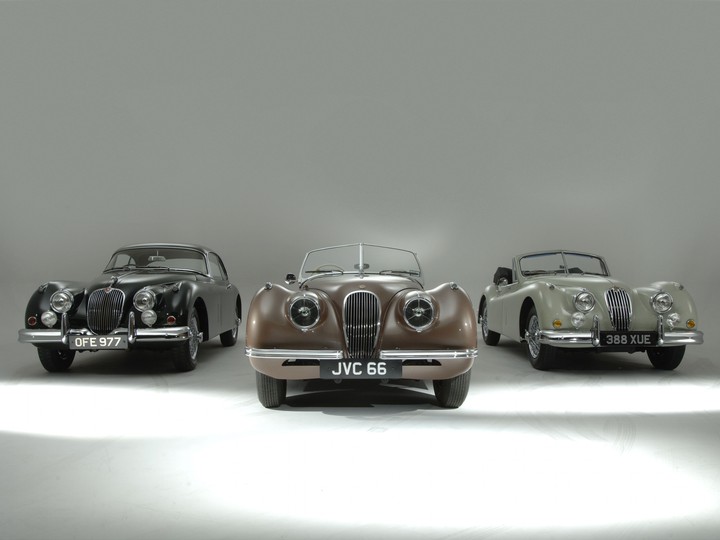 jaguar