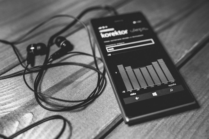 Earphones